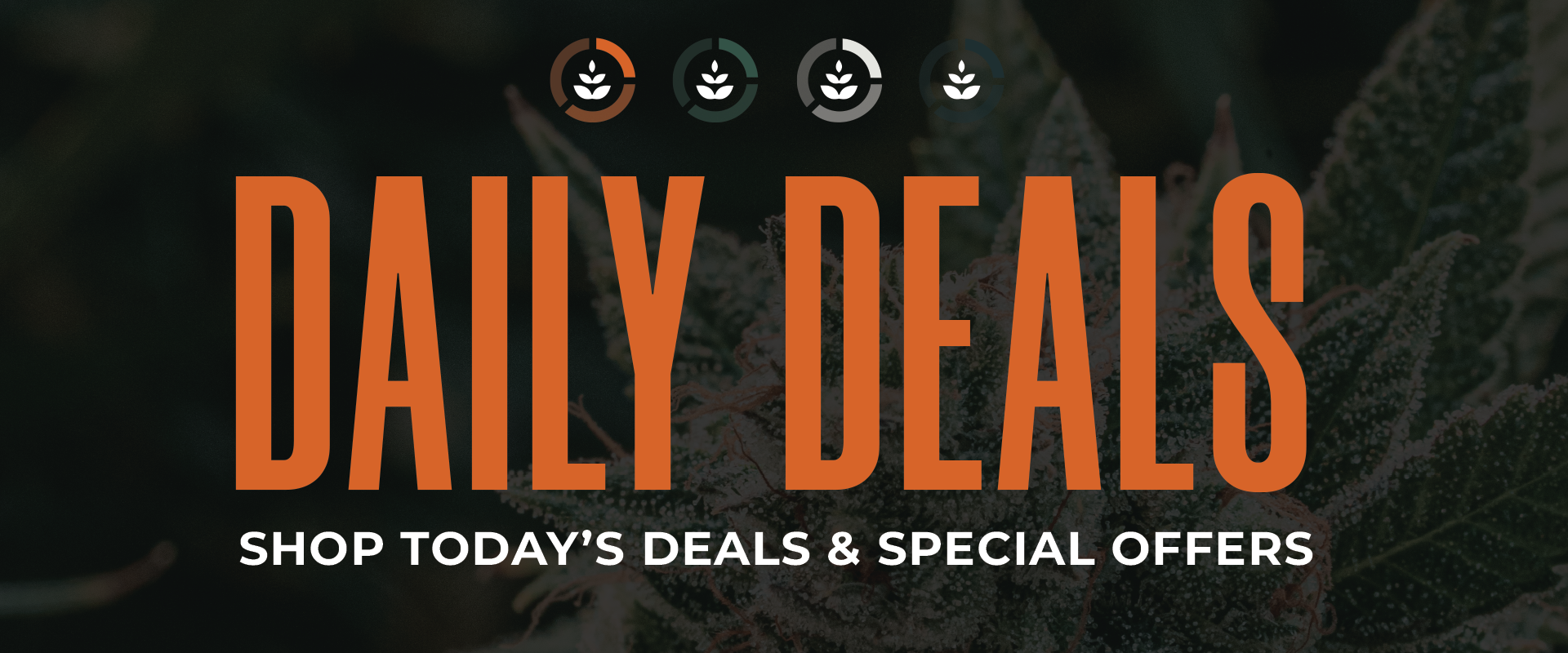 Weed/Pot Dispensaries in Long Beach CA Cannabis Dispensary Deals Near